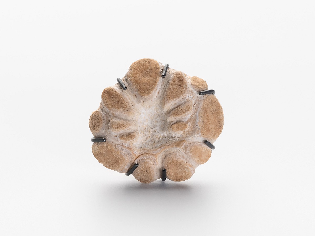 Ring, Knoblauch, Silber 925 geschwärzt